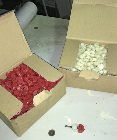 Wiertarka wielowrzecionowa SCHEER